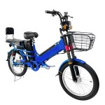 厂家直销20寸肥胎辐条轮载重前叉双电池电动自行车